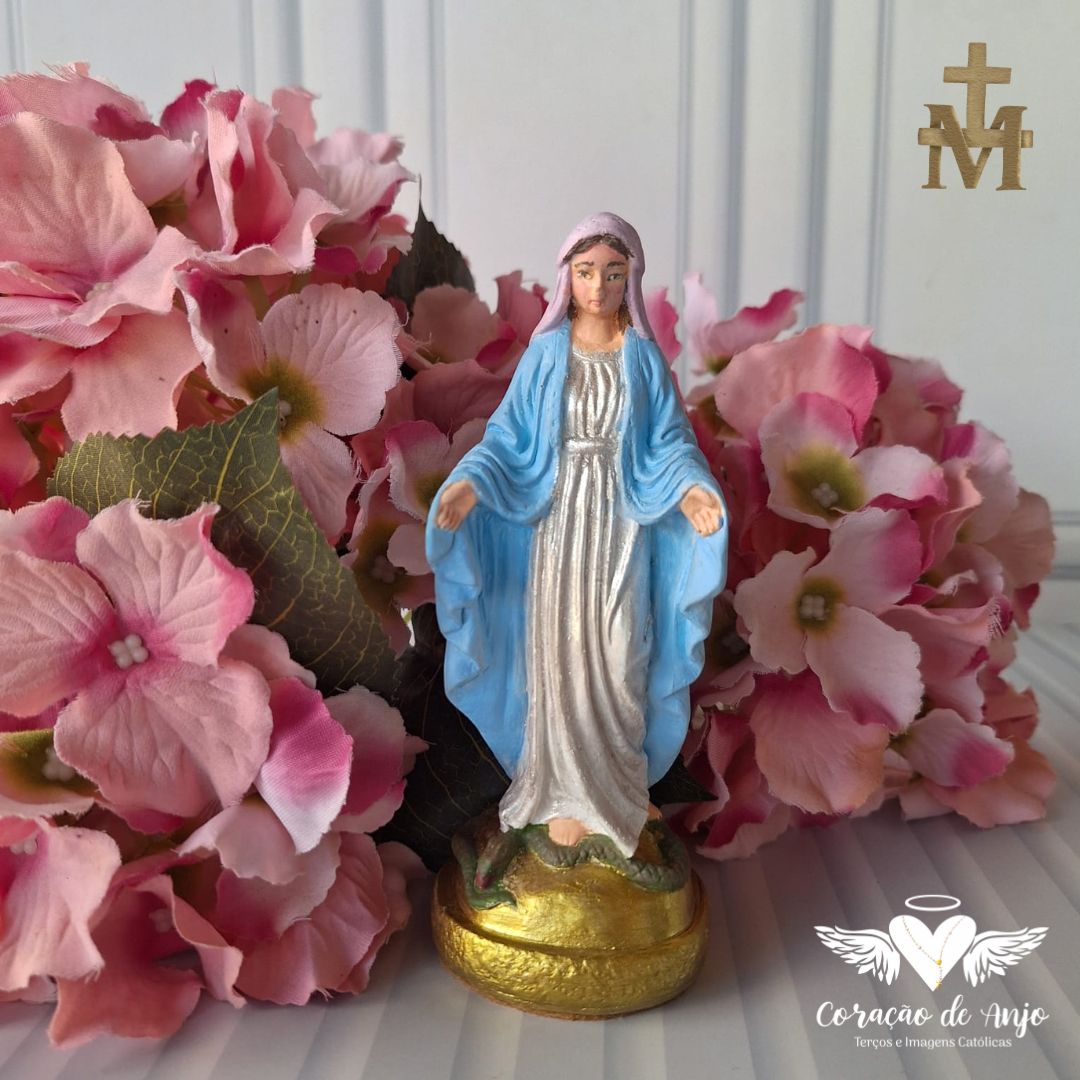 Mini Nossa Senhora das Graças